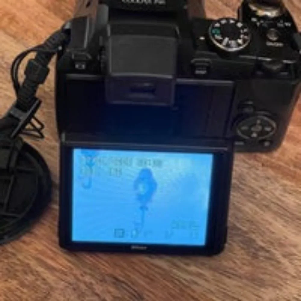 Nikon Coolpix P90 12.1MP Black Bridge Digital Camera